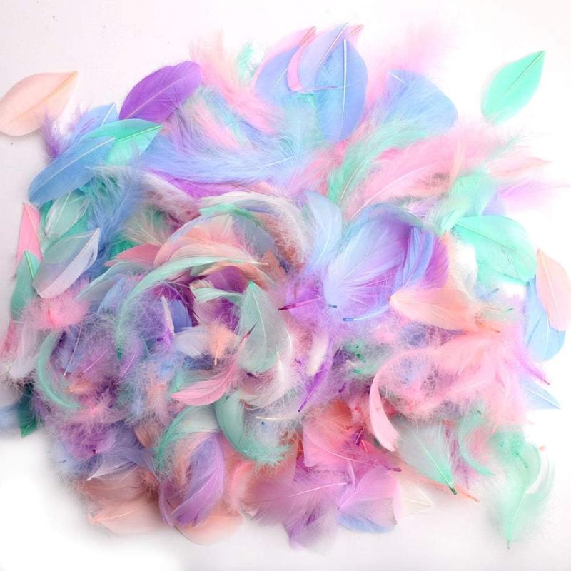 Multicolor Craft Feathers for DIY Projects
