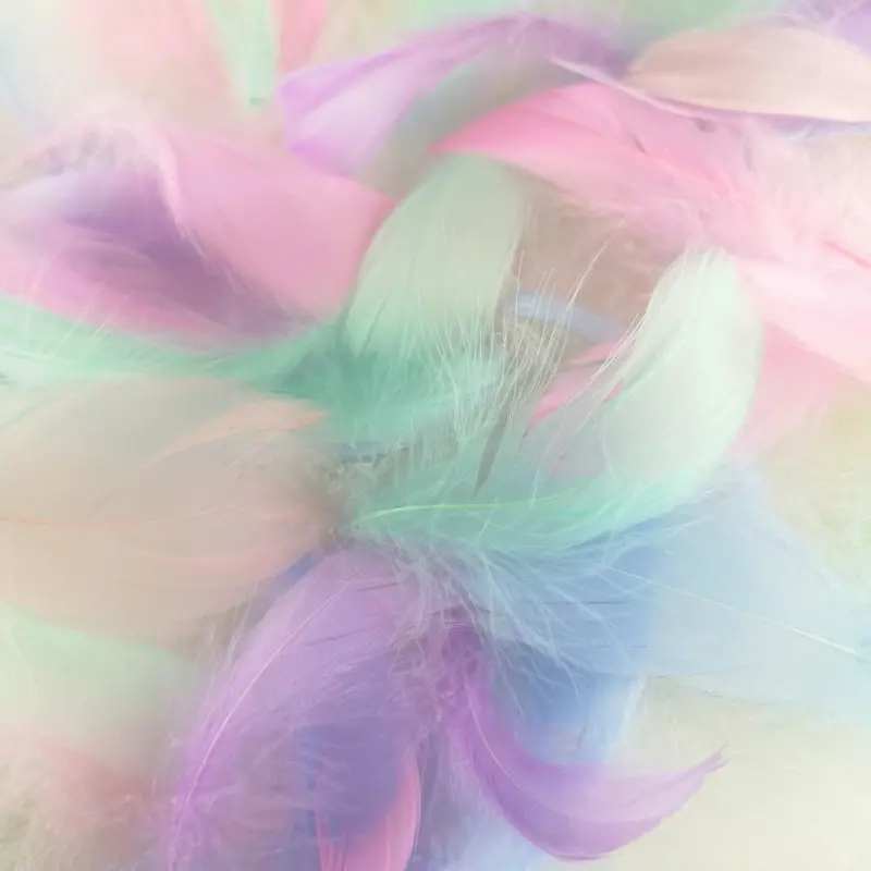 Multicolor Craft Feathers for DIY Projects